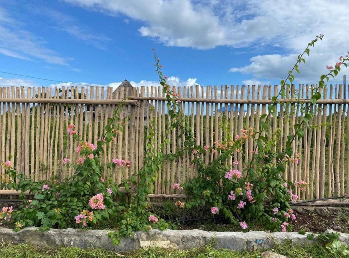 눙귀 Habibis Bottle House B&B 외부 사진
